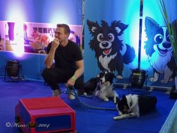 Haustiermesse am 1.03.2026